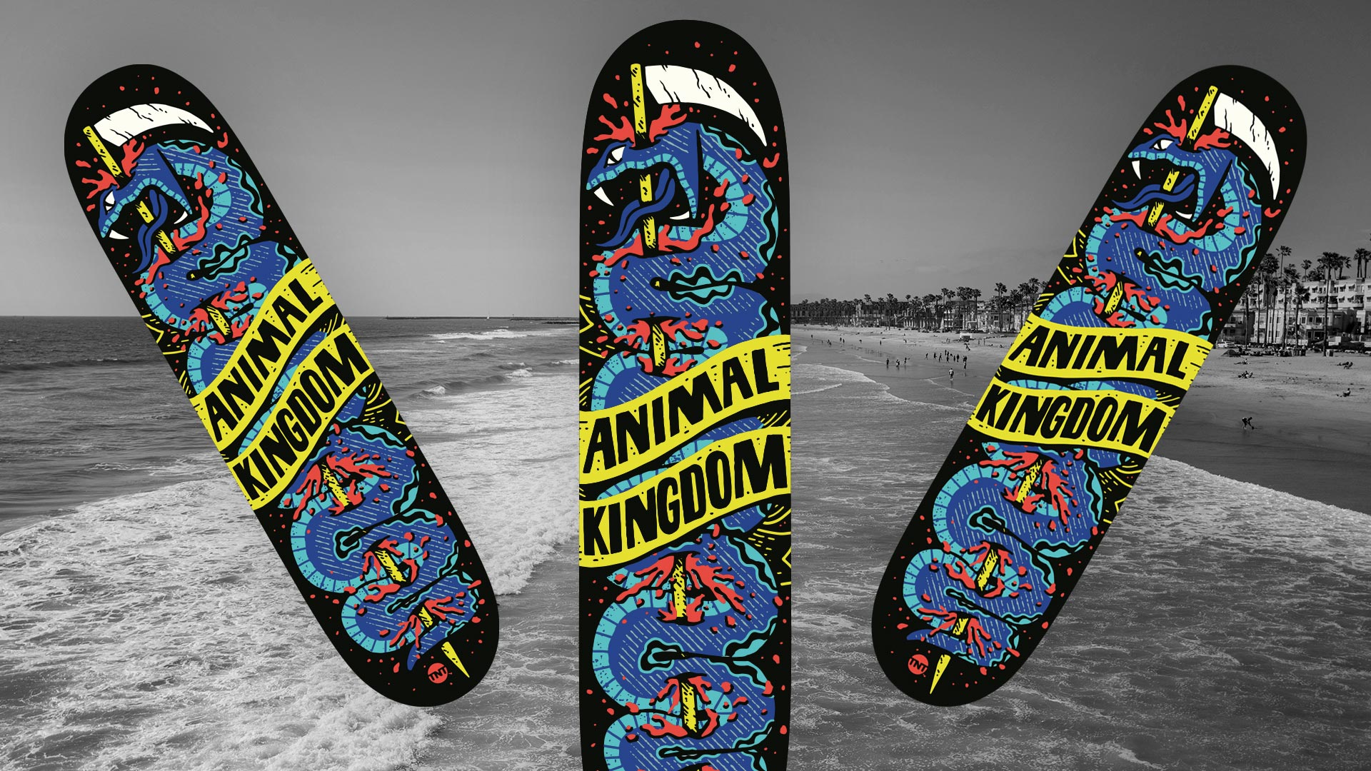 Animal Kingdom Skateboard Giveaway | Shacked