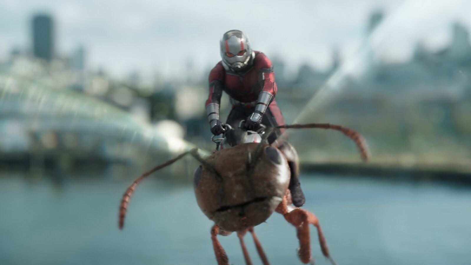 Ant-Man And The Wasp