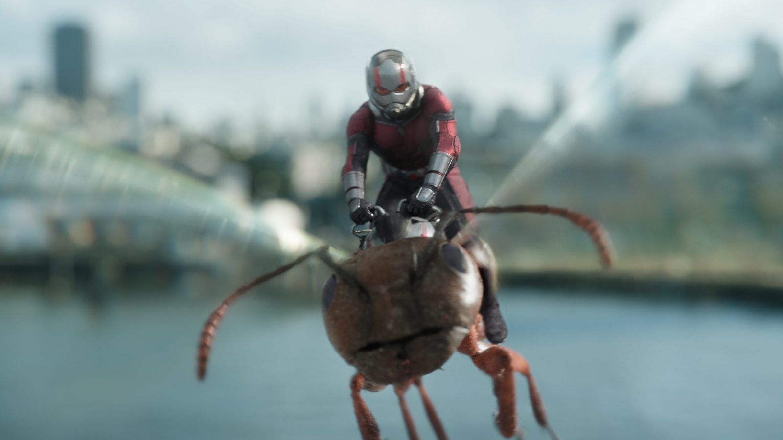 Ant-Man-And-The-Wasp
